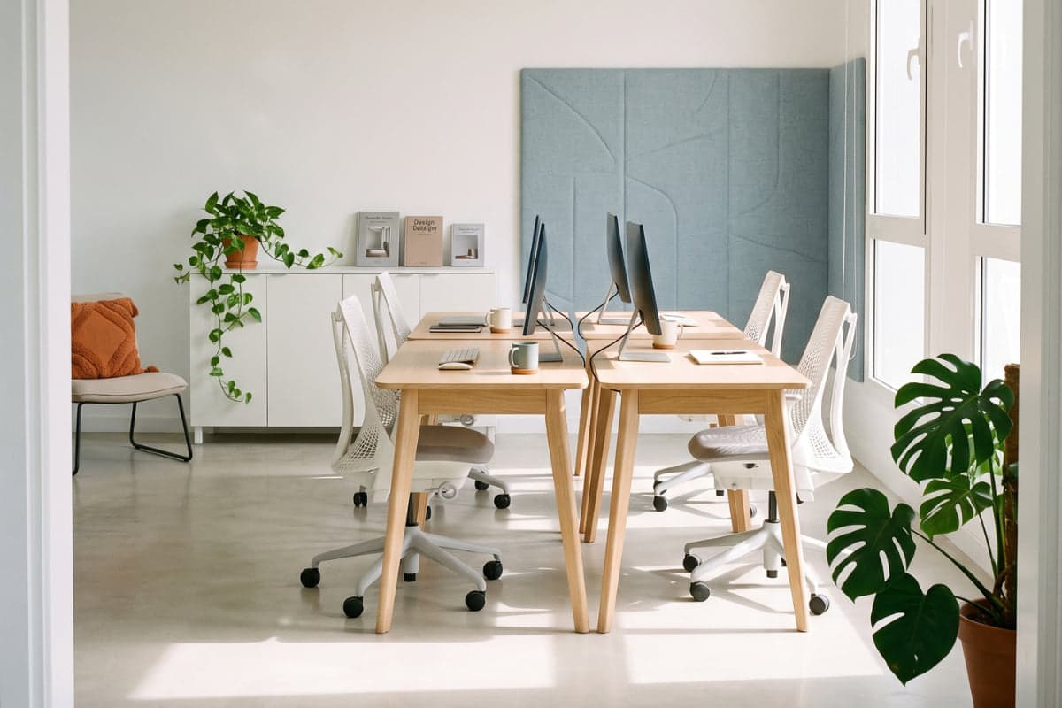 The Media Ark digital marketing agency office in Mohammedia